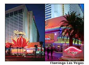 Las Vegas  - Flamingo hotel and casino