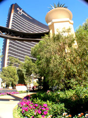 Wynn Resort in Las Vegas