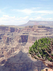 Grand Canyon in Nevada