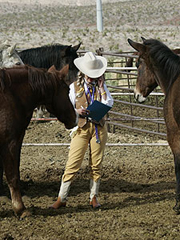 Horseback Stable