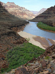 Grand Canyon